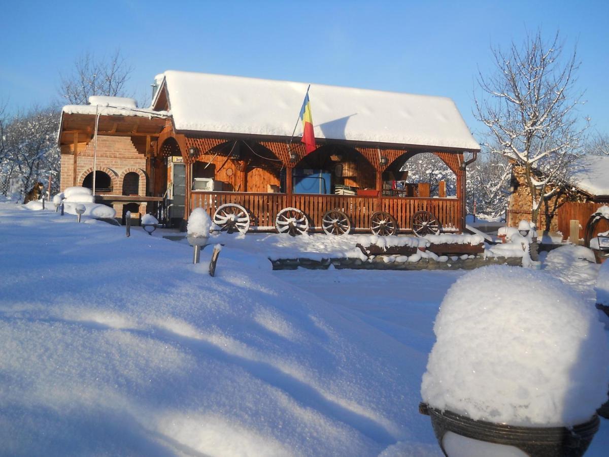 Pensiunea Roua Muntilor Sîmbăta de Sus Eksteriør bilde