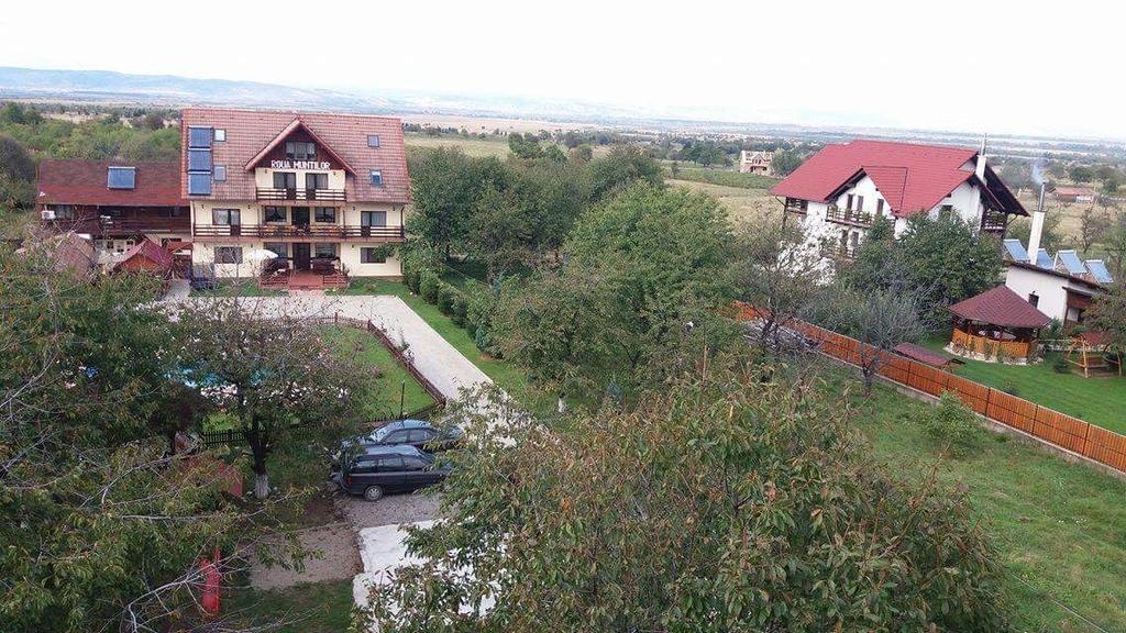Pensiunea Roua Muntilor Sîmbăta de Sus Eksteriør bilde